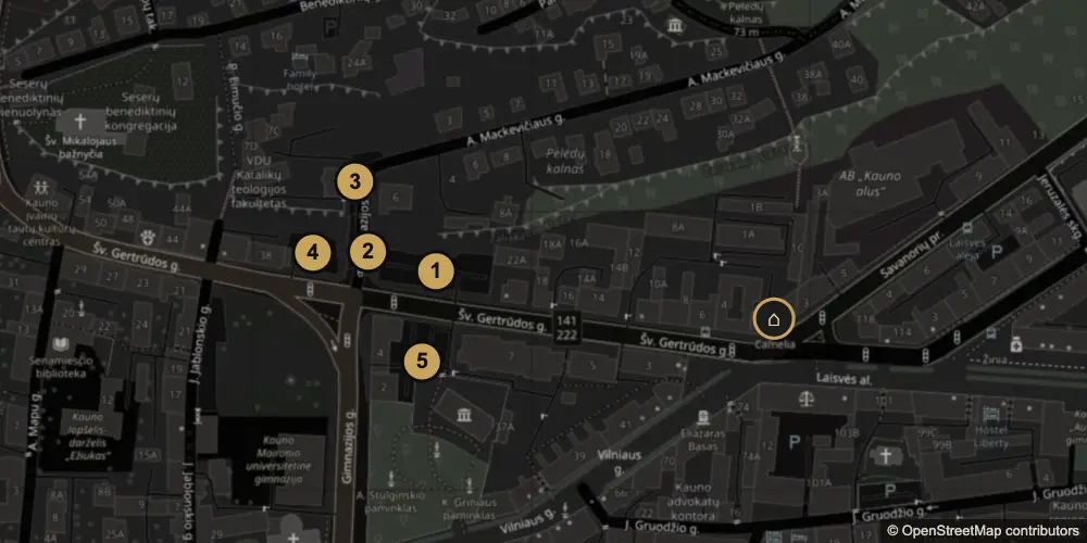 Map of green and blue zone parking near Underground Kingdom Boutique, Savanorių pr. 1, Kaunas